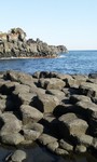 100110_1025~01.jpg
